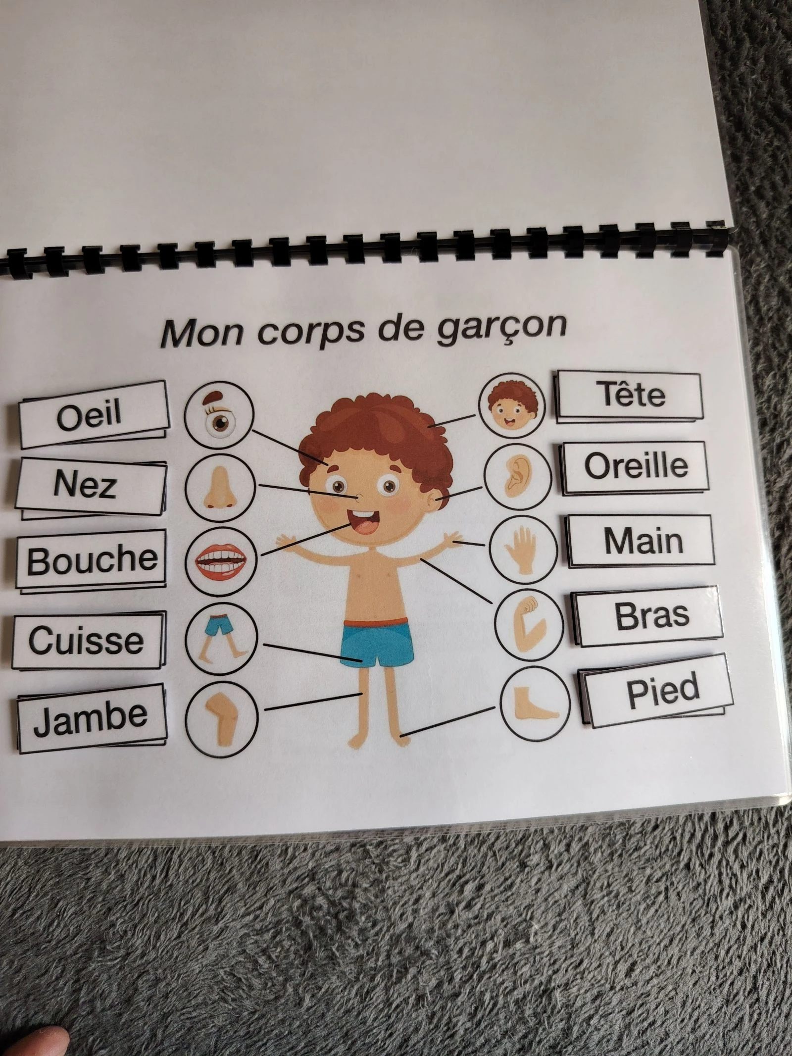 Livro de atividades o corpo humano – photo 2